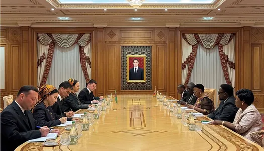 Глава Меджлиса Туркменистана встретилась с председателем Верхней палаты Парламента Зимбабве