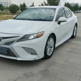 Toyota Camry 2020