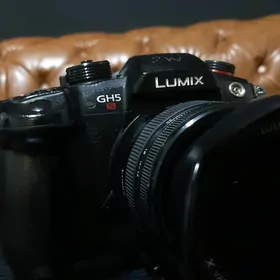 Lumix gh5 s