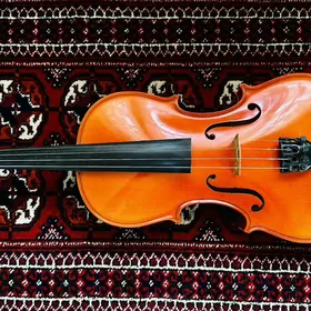 Скрипка, Violin