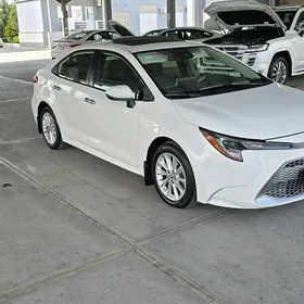 Toyota Corolla 2020