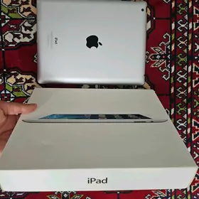 iPad