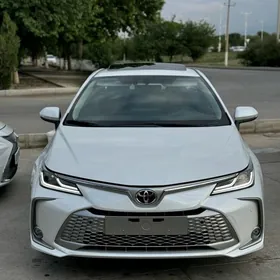 Toyota Corolla 2023