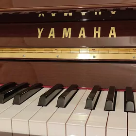 Yamaha we akkord pianino пиани