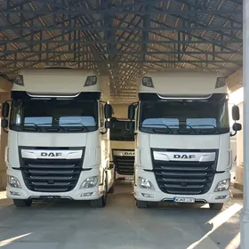 DAF 480 2019