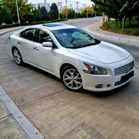 Nissan Maxima 2010