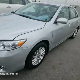 Toyota Camry 2009