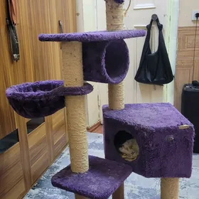 кошкин дом
