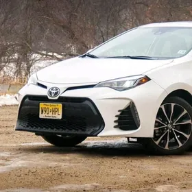 COROLLA BUMPER OBLISOWKA 2019