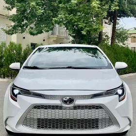 Toyota Corolla 2020