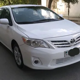 Toyota Corolla 2013