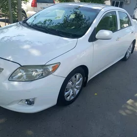 Toyota Corolla 2008