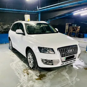 Audi Q5 2009