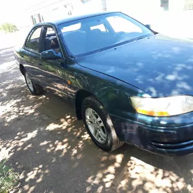 Toyota Windom 1993