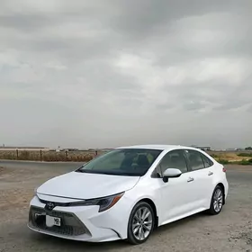 Toyota Corolla 2021