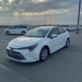 Toyota Corolla 2020