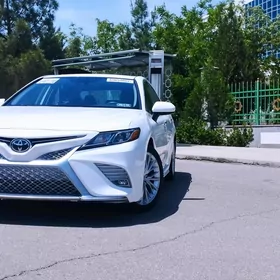 Toyota Camry 2019