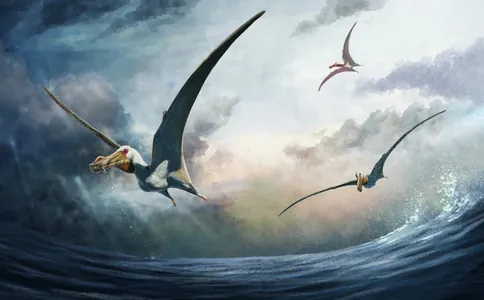 Жуткий монстр: Ученые описали новый вид птерозавра, летавшего 100 млн лет назад