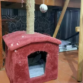домик для кошки срочно