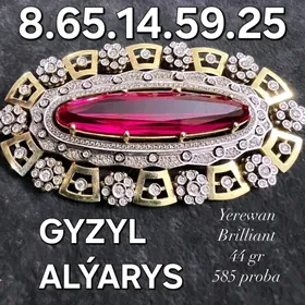 GYZYL ALÝARYS