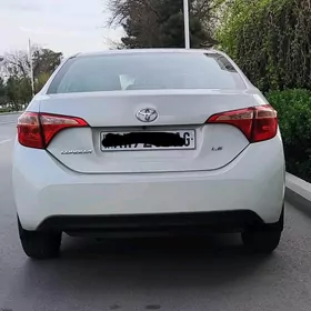 Toyota Corolla 2019