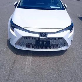 Toyota Corolla 2020