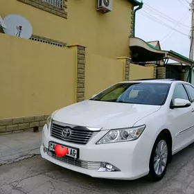 Toyota Aurion 2013