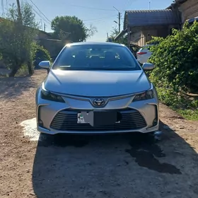 Toyota Corolla 2020