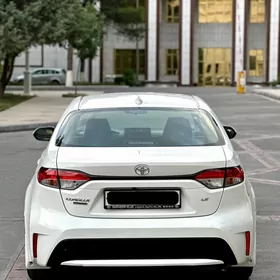 Toyota Corolla 2020