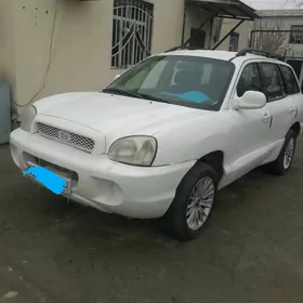 Hyundai Santa Fe 2002