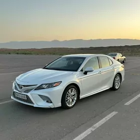 Toyota Camry 2019