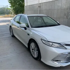 Toyota Camry 2019