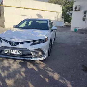 Toyota Camry 2019