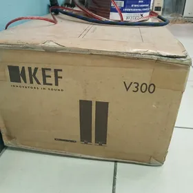KEF V300