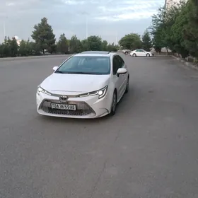 Toyota Corolla 2019