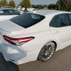 Toyota Camry 2020