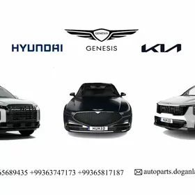 HYUNDAI KIA ahli awtosaylary