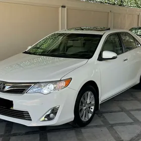 Toyota Camry 2013