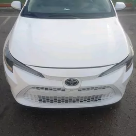 Toyota Corolla 2020