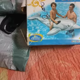 надувной дельфин