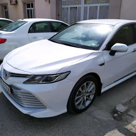 Toyota Camry 2019