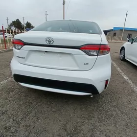 Toyota Corolla 2021