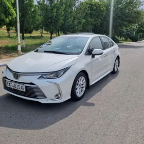 Toyota Corolla 2019