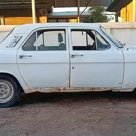 Gaz 24 1981