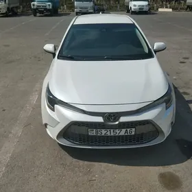 Toyota Corolla 2019