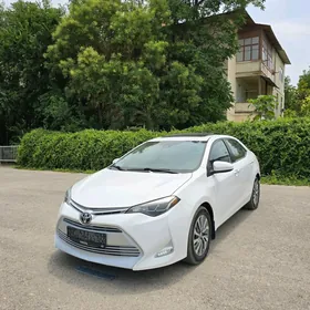 Toyota Corolla 2019