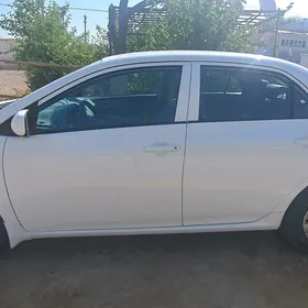 Toyota Corolla 2010