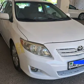 Toyota Corolla 2010