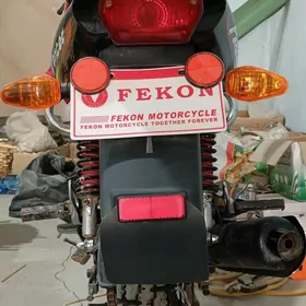 Fekon FK150-8G 2013