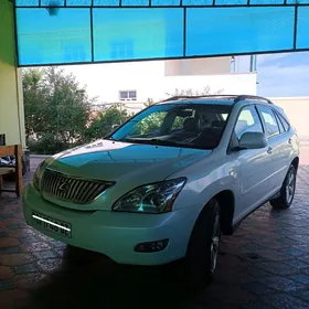 Lexus RX 330 2004